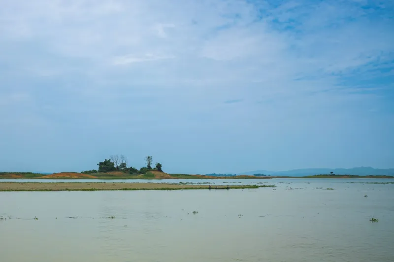 The Beautiful Advantage of Being Forgotten: Why Obscure Freshwater Islands Are the Last Real Wild Places