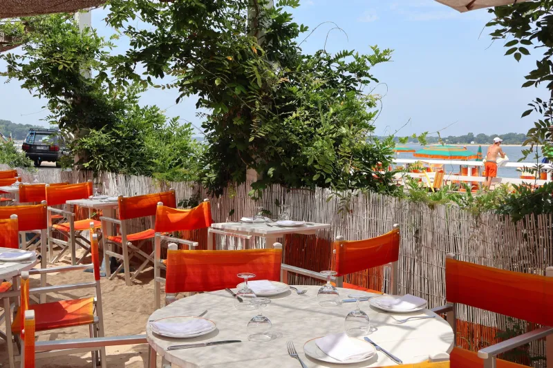 Eating Local at the Edge of the Water: How Freshwater Island Chefs Are Changing the Way America Dines